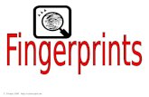 T. Trimpe 2006 . Fingerprint Principles According to criminal investigators, fingerprints follow 3 fundamental principles: A fingerprint.