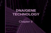 DNA/GENE TECHNOLOGY Chapter 9 Types of Genetic Engineering Selective Breeding GMO’s Gene Sequencing Gene Cloning/Pharmaceutical Production DNA Fingerprinting.
