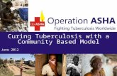Curing Tuberculosis with a Community Based Model June 2012.
