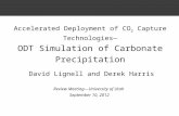 Accelerated Deployment of CO 2 Capture Technologies— ODT Simulation of Carbonate Precipitation Review Meeting—University of Utah September 10, 2012 David.