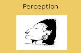 Perception. What’s the connection to Psychology??? Perception is one of the oldest and most fundamental disciplines within Psychology, dating back to.