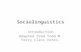 Sociolinguistics Introduction Adapted from Todd M. Ferry class notes.
