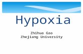 Hypoxia Zhihua Gao Zhejiang University.  Review of respiration  Measurements of O 2  Hypoxia  definition  classification, etiology, mechanism  resultant.