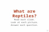 What are Reptiles? Read each slide. Look at each picture. Answer each question.
