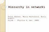 Hierarchy in networks Peter Náther, Mária Markošová, Boris Rudolf Vyjde : Physica A, dec. 2009.