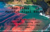 “Red Tides,” or Harmful Algal Blooms Seth Winkenwerder Phycology, Spring 2009 Topic Presentation, May 21, 2009 Image: .
