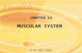 Copyright 2003 by Mosby, Inc. All rights reserved. CHAPTER 14 MUSCULAR SYSTEM.