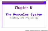© 2009 The McGraw-Hill Companies, Inc. All rights reserved 26-1 The Muscular System Anatomy and Physiology.