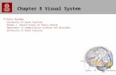 1 Chapter 8 Visual System Chris Rorden University of South Carolina Norman J. Arnold School of Public Health Department of Communication Sciences and Disorders.