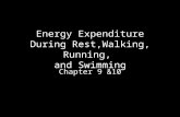 Energy Expenditure During Rest,Walking, Running, and Swimming Chapter 9 &10.