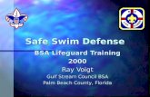 Safe Swim Defense BSA Lifeguard Training 2000 Ray Voigt Gulf Stream Council BSA Palm Beach County, Florida Palm Beach County, Florida.