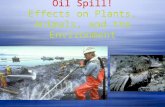 Oil Spill! Effects on Plants, Animals, and the Environment.
