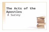 The Acts of the Apostles A Survey. 2 The Book of Acts Not a complete history Some of the acts of some of the apostles Two main characters: Peter (1-12)