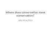 Where does conservation meet conservation? Lida Miraj 2011.