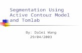 Segmentation Using Active Contour Model and Tomlab By: Dalei Wang 29/04/2003.