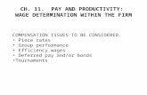 CH. 11. PAY AND PRODUCTIVITY: WAGE DETERMINATION WITHIN THE FIRM COMPENSATION ISSUES TO BE CONSIDERED. Piece rates Group performance Efficiency wages.