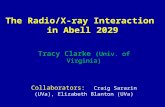 The Radio/X-ray Interaction in Abell 2029 Tracy Clarke (Univ. of Virginia) Collaborators: Craig Sarazin (UVa), Elizabeth Blanton (UVa)