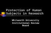 Protection of Human Subjects in Research Whitworth University Institutional Review Board.