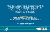The Collaborative Improvement & Innovation Network (CoIIN) to Reduce Infant Mortality: Overview & Update Vanessa Lee, MPH Infant Mortality CoIIN Coordinator,