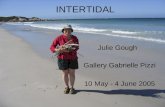 INTERTIDAL Gallery Gabrielle Pizzi 10 May - 4 June 2005 Julie Gough.