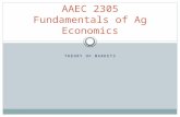THEORY OF MARKETS AAEC 2305 Fundamentals of Ag Economics.