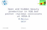 23-09-2004M.Mevius Open and hidden beauty production in 920 GeV proton –nucleus collisions at HERA-B M.Mevius DESY.
