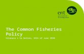 The Common Fisheries Policy Vilanova i la Geltrú, 16th of June 2010.