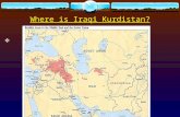 Where is Iraqi Kurdistan? .  Basic facts  Population: 4 millions (Total number of the Kurds in Iraq is 6 millions)  Area: 25,000 miles  Capital.
