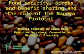 Braulio Ferreira de Souza Dias Executive Secretary, Convention on Biological Diversity Food security, access and benefit sharing and the role of the Nagoya.