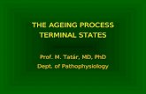 THE AGEING PROCESS TERMINAL STATES Prof. M. Tatár, MD, PhD Dept. of Pathophysiology.