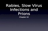 Rabies, Slow Virus Infections and Prions Chapter 42.