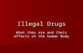Illegal Drugs What they are and their effects on the human Body.