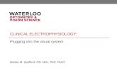 CLINICAL ELECTROPHYSIOLOGY: Plugging into the visual system Marlee M. Spafford, OD, MSc, PhD, FAAO.