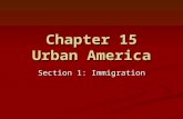 Chapter 15 Urban America Section 1: Immigration. Europeans Flood into the United States (Pages 464-467) By the late 1800’s, most European states made.