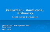 Zebrafish, Danio rerio, Husbandry Round Table Discussion Zebrafish Development and Genetics MBL 2012.