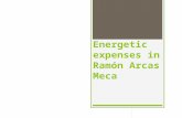 Energetic expenses in Ramón Arcas Meca.  Before starting with commenius project, we damaged the environment.  For example…