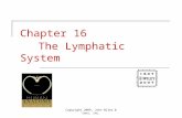 Copyright 2009, John Wiley & Sons, Inc. Chapter 16 The Lymphatic System.