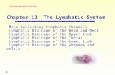 1 Main Collecting Lymphatic Channels Lymphatic Drainage of the Head and Neck Lymphatic Drainage of the Upper Limb Lymphatic Drainage of the Thorax Lymphatic.