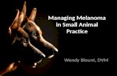 Managing Melanoma in Small Animal Practice Wendy Blount, DVM.