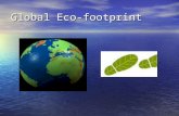 Global Eco-footprint. Global Eco-footprint. A footprint means pressing down, and global means the world so ‘global footprint’ means pressing down on the.