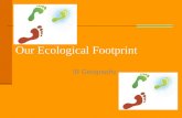 Our Ecological Footprint IB Geography. What is an Ecological Footprint? The ecological footprint is a measure of human demand on the Earths ecosystems.