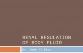 RENAL REGULATION OF BODY FLUID Dr. Eman El Eter. What is the impact of the following on your body fluid volume and osmolarity?  What happens when you.