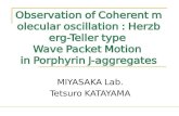 Observation of Coherent molecular oscillation : Herzberg-Teller type Wave Packet Motion in Porphyrin J-aggregates MIYASAKA Lab. Tetsuro KATAYAMA.