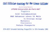 Aurore Savoy-Navarro LPNHE-Universités de Paris 6&7 SilC Collaboration R&D Advances since St Malo Si-Envelope design Mechanics Electronics Future Prospects.