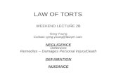 LAW OF TORTS WEEKEND LECTURE 2B Greg Young Contact: greg.young@lawyer.com NEGLIGENCE Defences Remedies – Damages Personal Injury/Death DEFAMATION NUISANCE.