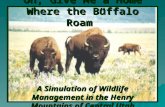 “Oh, Give Me a Home Where the Buffalo Roam” A Simulation of Wildlife Management in the Henry Mountains of Central Utah.
