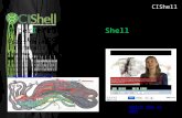 CyberInfrastructure Shell: A Plug-and-Play Macroscopes Framework P632: Object Oriented Software Development Chin Hua Kong Sr. System Architect / Project.