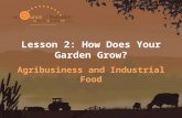 Lesson 2: How Does Your Garden Grow? Agribusiness and Industrial Food.