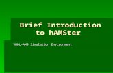 Brief Introduction to hAMSter VHDL-AMS Simulation Environment.