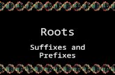 Roots Suffixes and Prefixes. What is a Prefix A prefix is placed at the beginning of a word to modify or change its meaning.